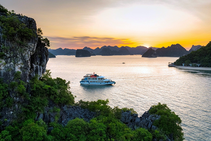 du thuyền Cozy Bay Cruise Viet Feeling Travel