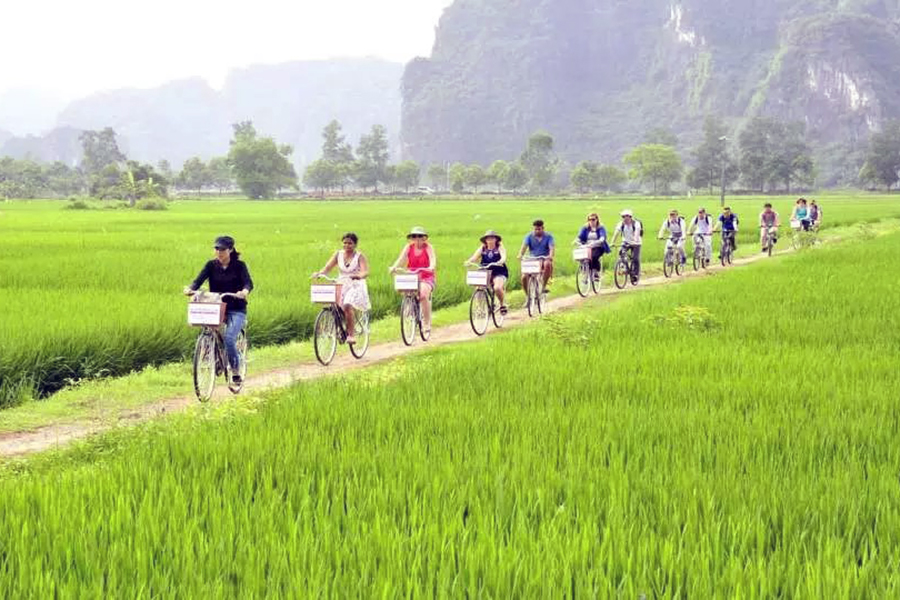 Tour du lịch dạp xe ỏ Ninh Bình Viet Feeling Travel - Tour Ninh Bình