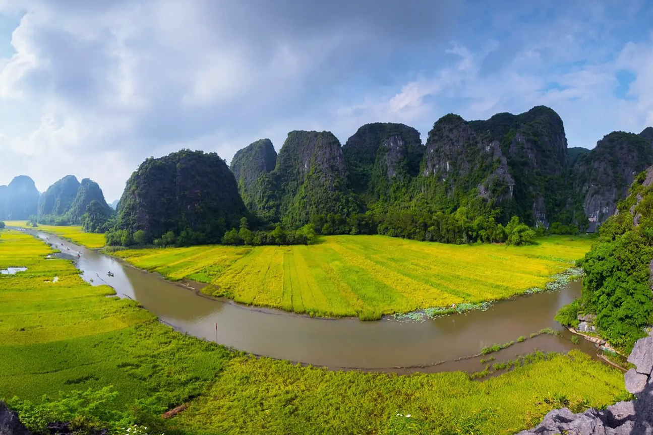 Viet feeling travel tour du lịch tam cóc mùa lúa chín - Tour Ninh Bình