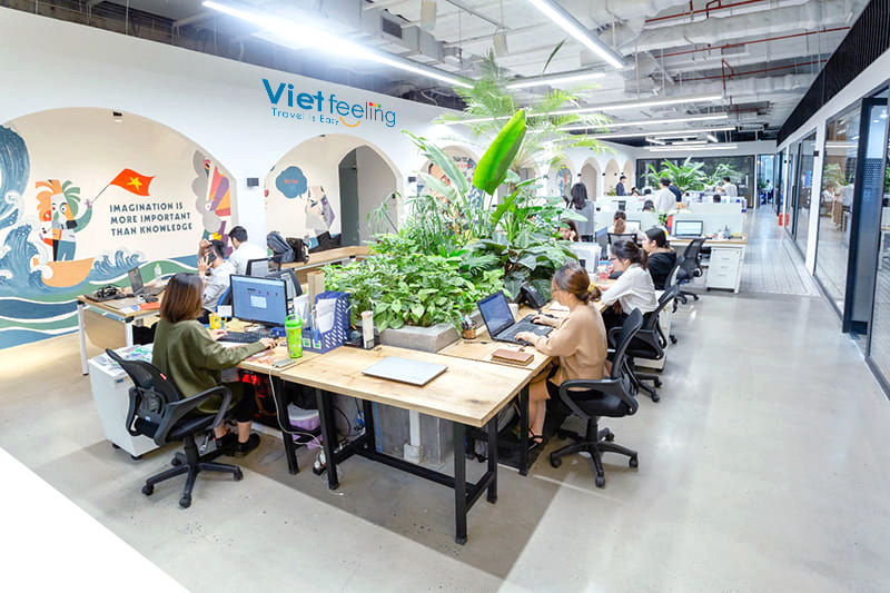 Viet Feeling Travel office Ha Noi - Về chúng tôi