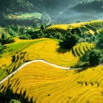 tour sapa 2 ngày 1 đêm từ Hà Nội Viet Feeling Travel