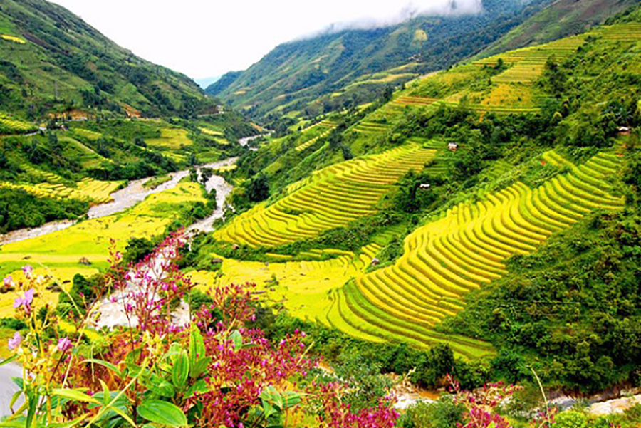 Dien Bien 4 ngay 3 dem – A Pa Chai – Muong Phang - Tour Đông Tây Bắc