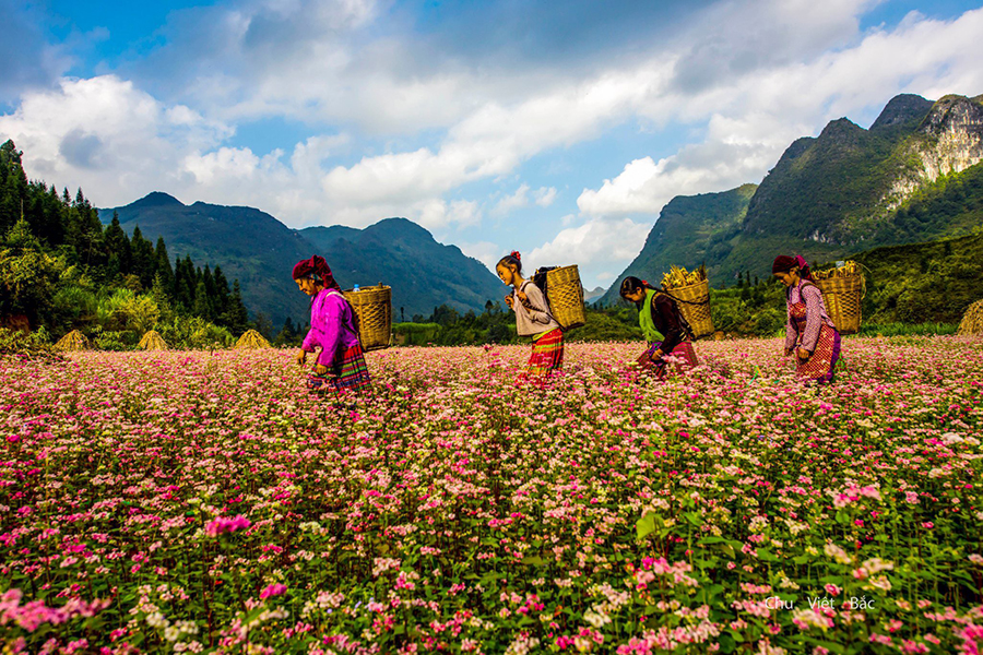 Ha Giang 2 ngay 3 dem 1 - Tour ghép hàng ngày