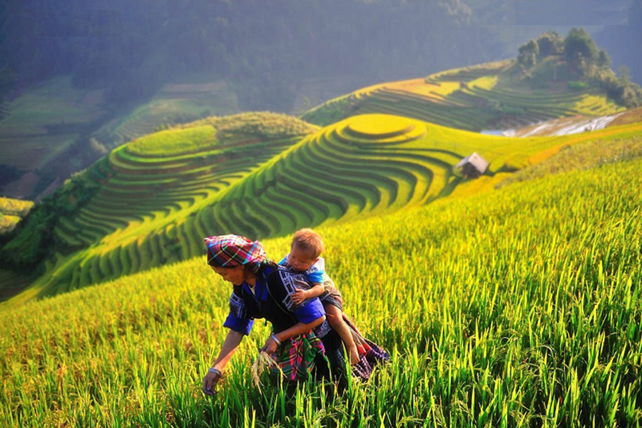 tour mù căng chải trạm tấu