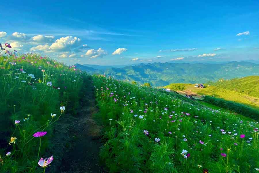 Dinh Mu La - Tour Đông Tây Bắc