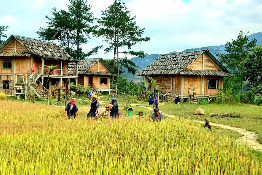 La Pan Tan - Tour Mù Căng Chải Yên Bái