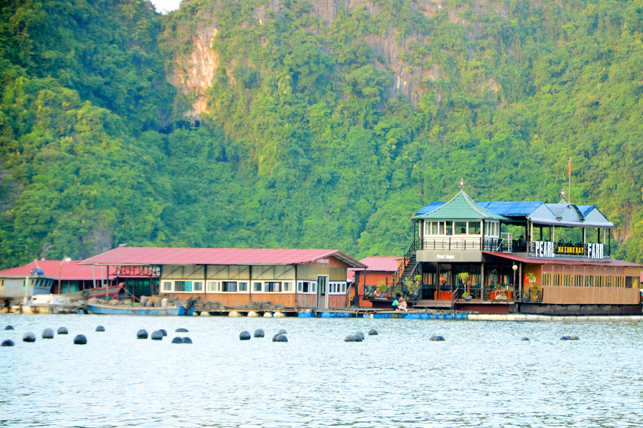 Lang nghe ngoc trai Tung Sau - Du thuyền vịnh Lan Hạ