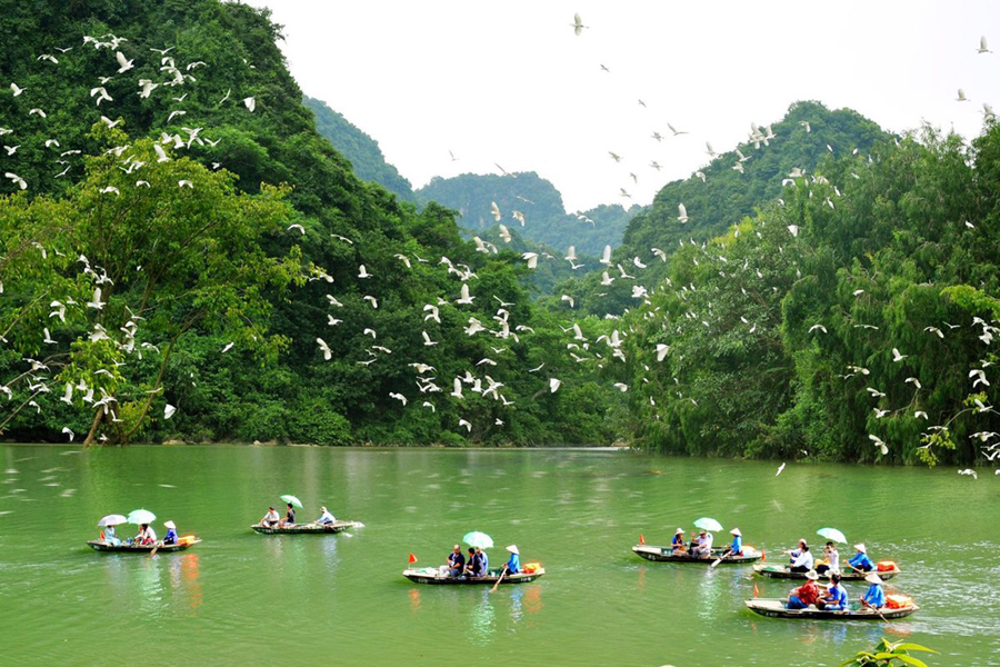 Tour Ninh Binh 2 Ngay 1 Dem - Tour Ninh Bình