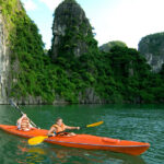 Chèo thuyền kayak trong tour du thuyền sea lion cruise